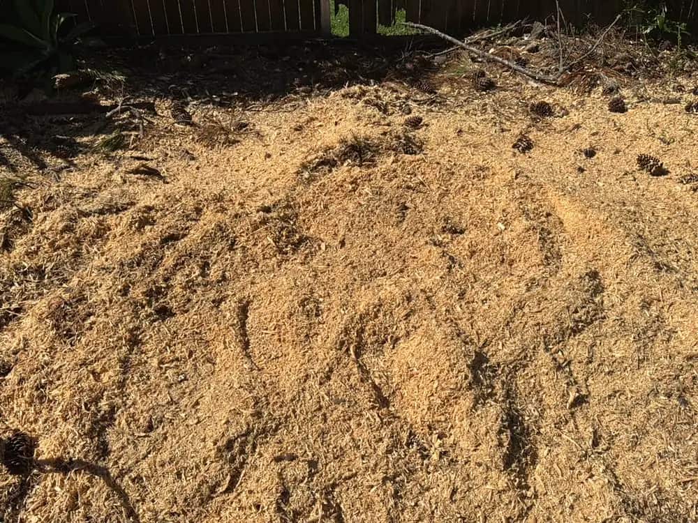 Ground blanketed in pale timber chip and soil after clearing work in a Queensland back yard