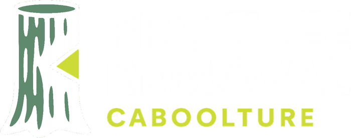 Pro Tree Removal Caboolture